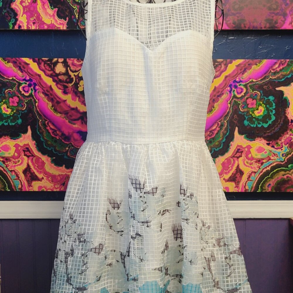 Everly ~ Sz M ~ Sleeveless Basketweave Dress ~ NWT